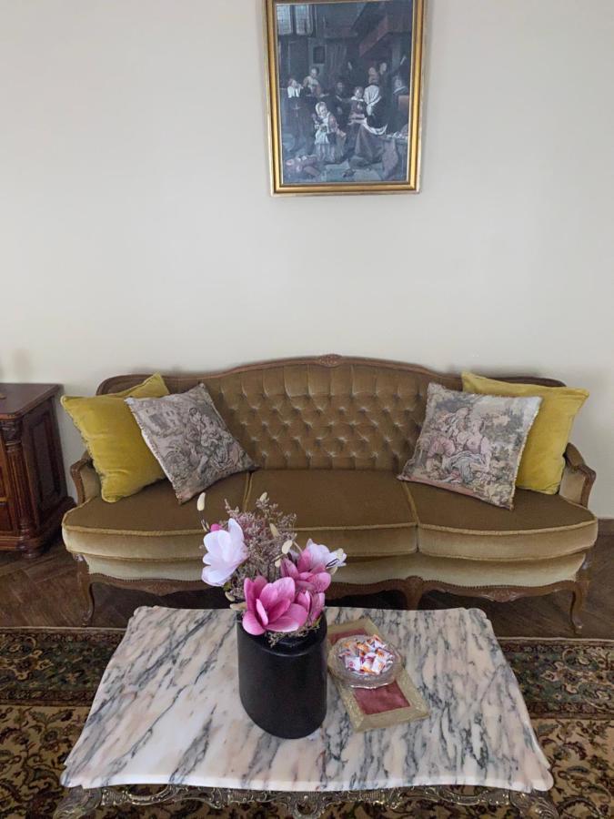 Williams House Hotel Hunedoara Buitenkant foto