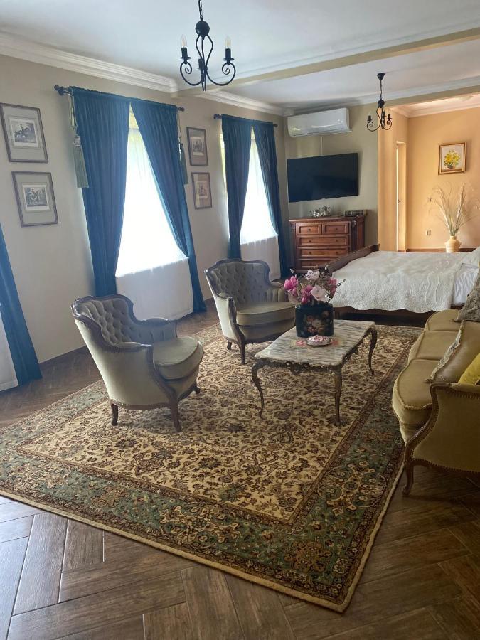 Williams House Hotel Hunedoara Buitenkant foto